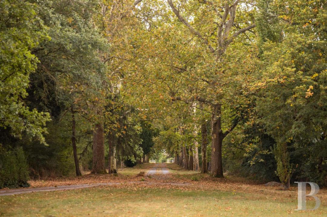 Photo of Others in Usson-du-Poitou