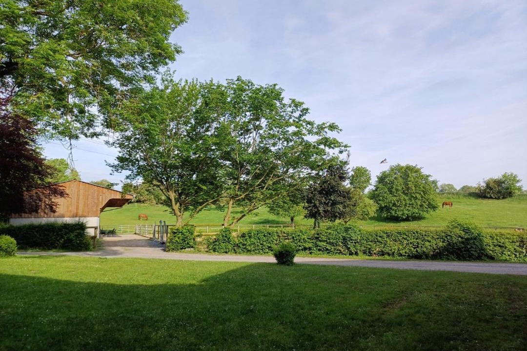 Photo of Others in Sebourg