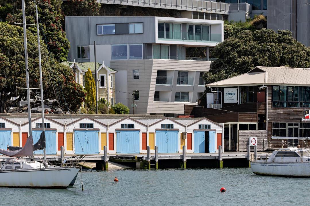 Photo of Buildings in Oriental Bay