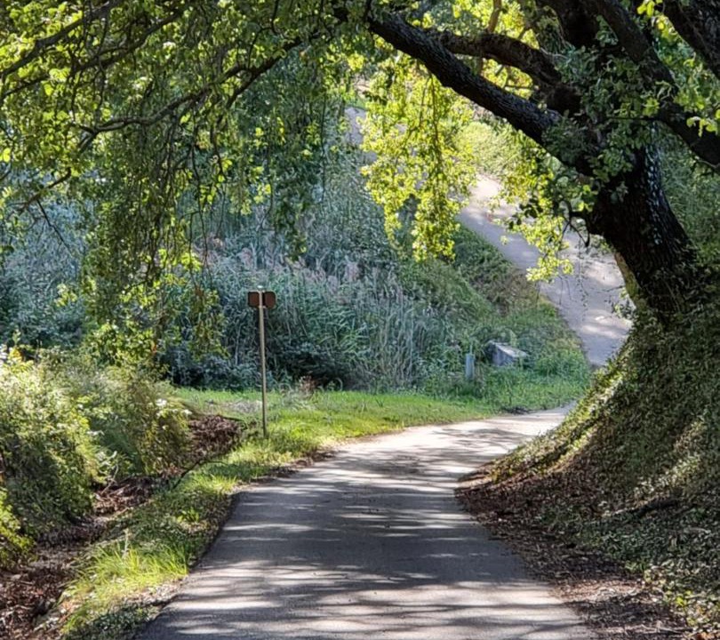 Photo of Others in Mirabel-aux-Baronnies