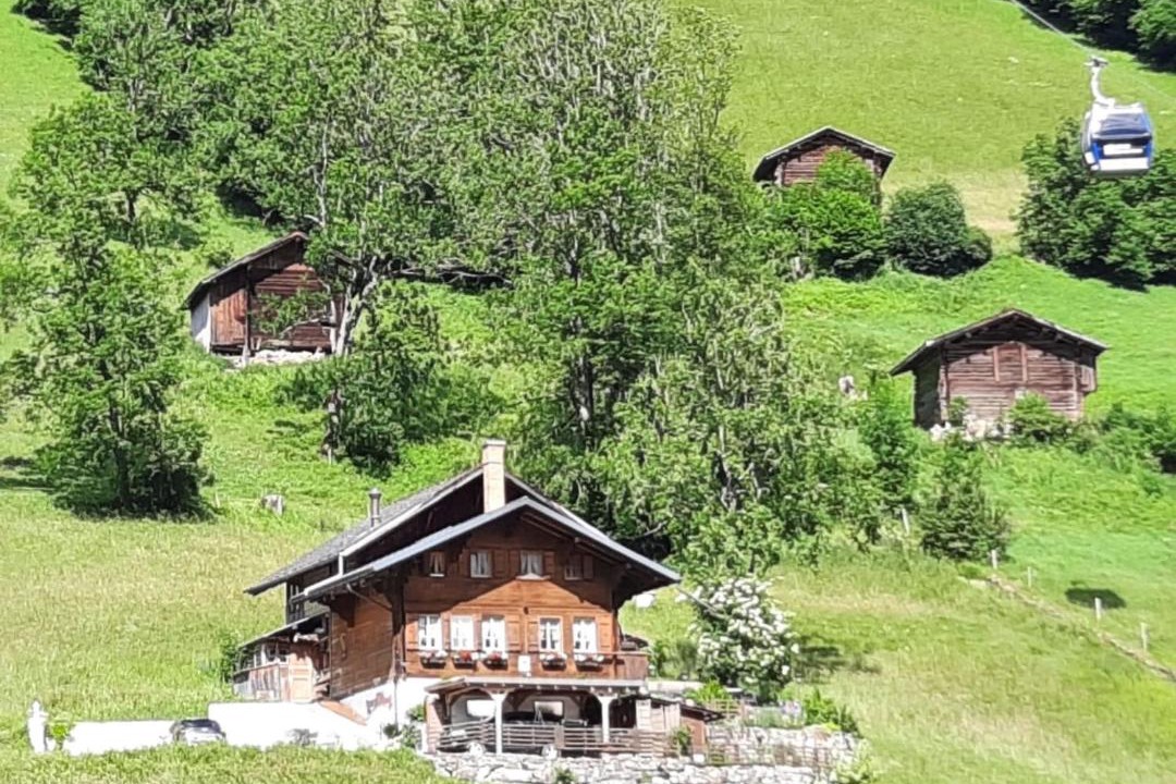 Photo of Others in Lenk