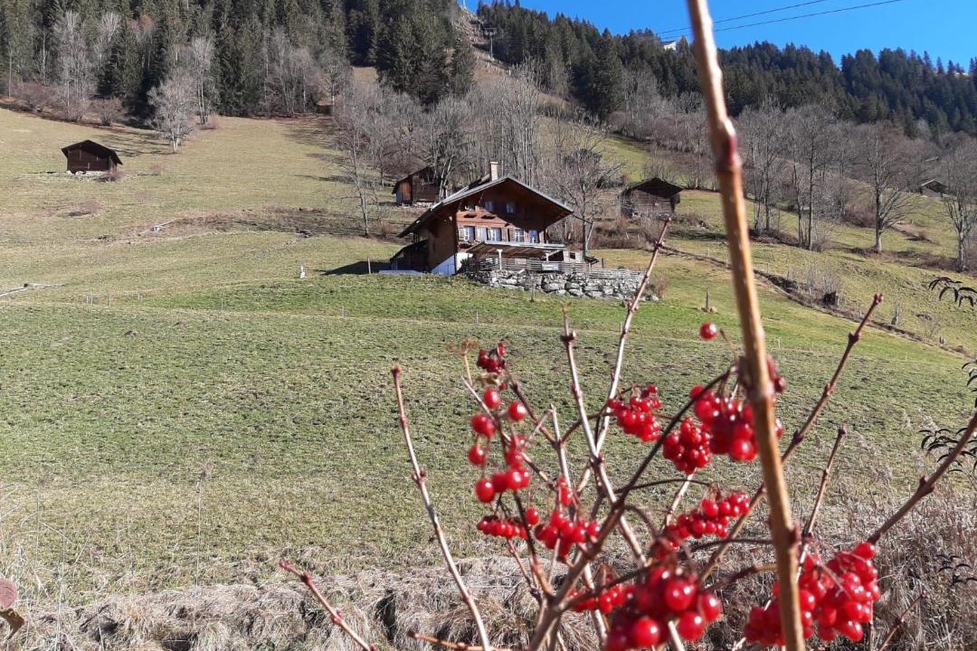 Photo of Others in Lenk