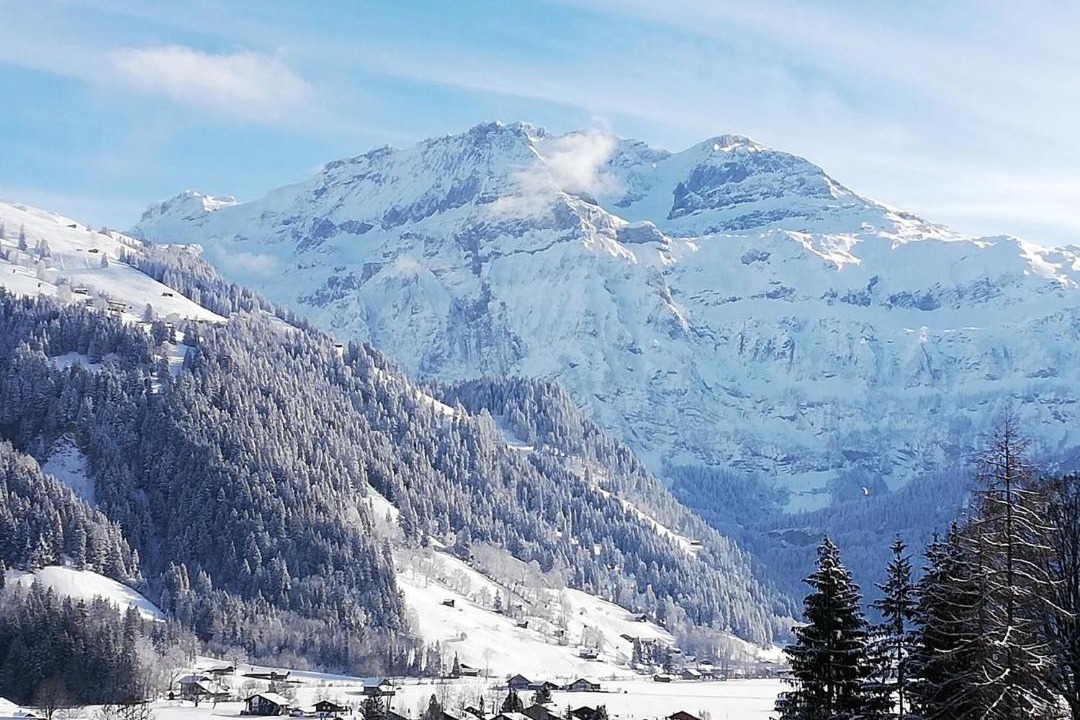Photo of Others in Lenk
