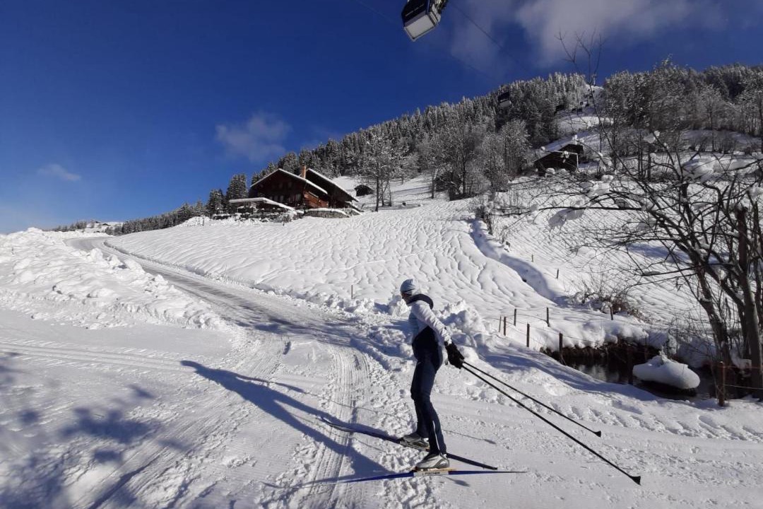 Photo of Others in Lenk