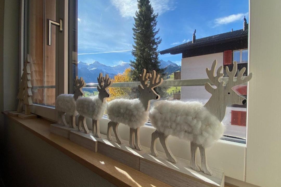 Photo of Others in Adelboden