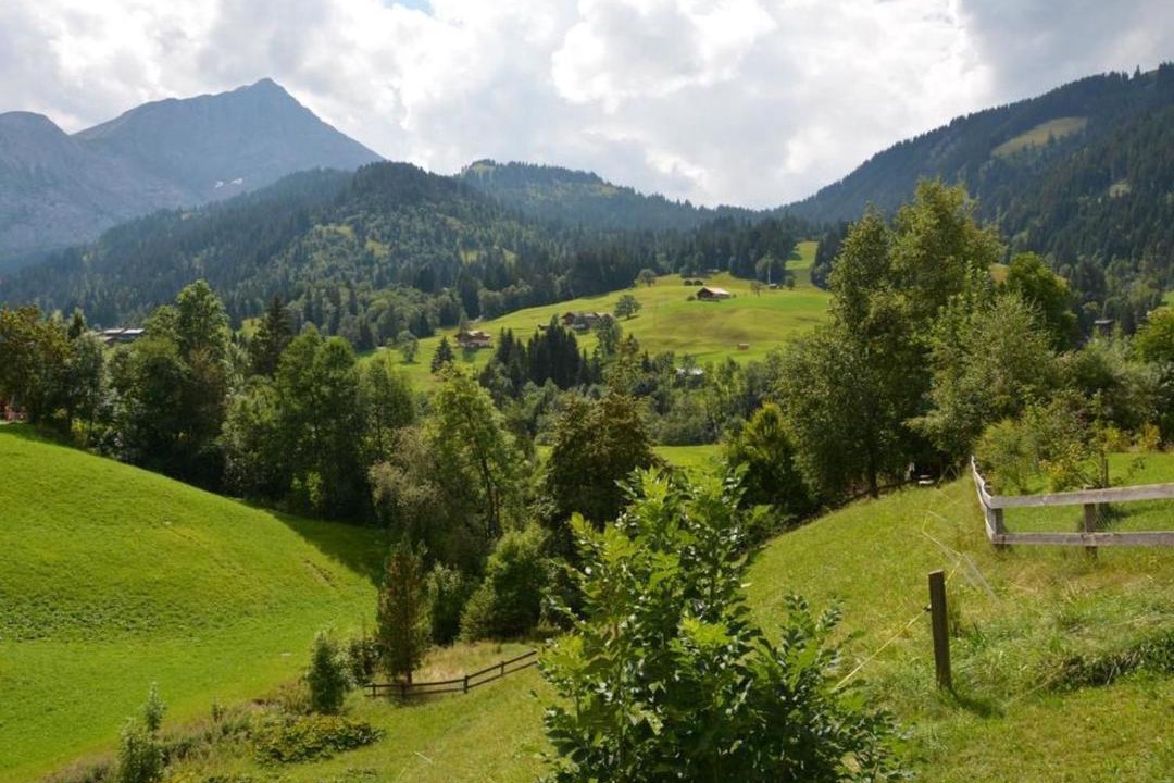 Photo of Others in Lauenen