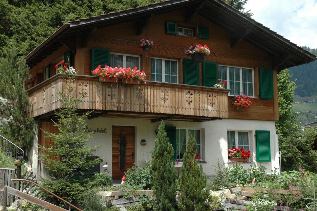 Photo of Others in Adelboden