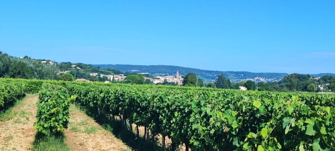 Photo of Others in Mirabel-aux-Baronnies