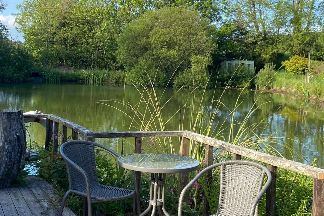 Photo of Others in Pelynt