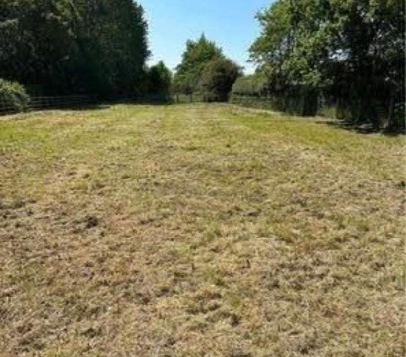 Photo of Others in Fangfoss