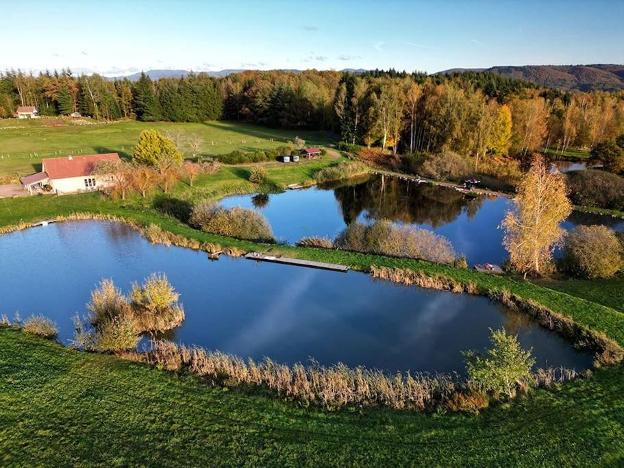 Photo of Others in Travexin