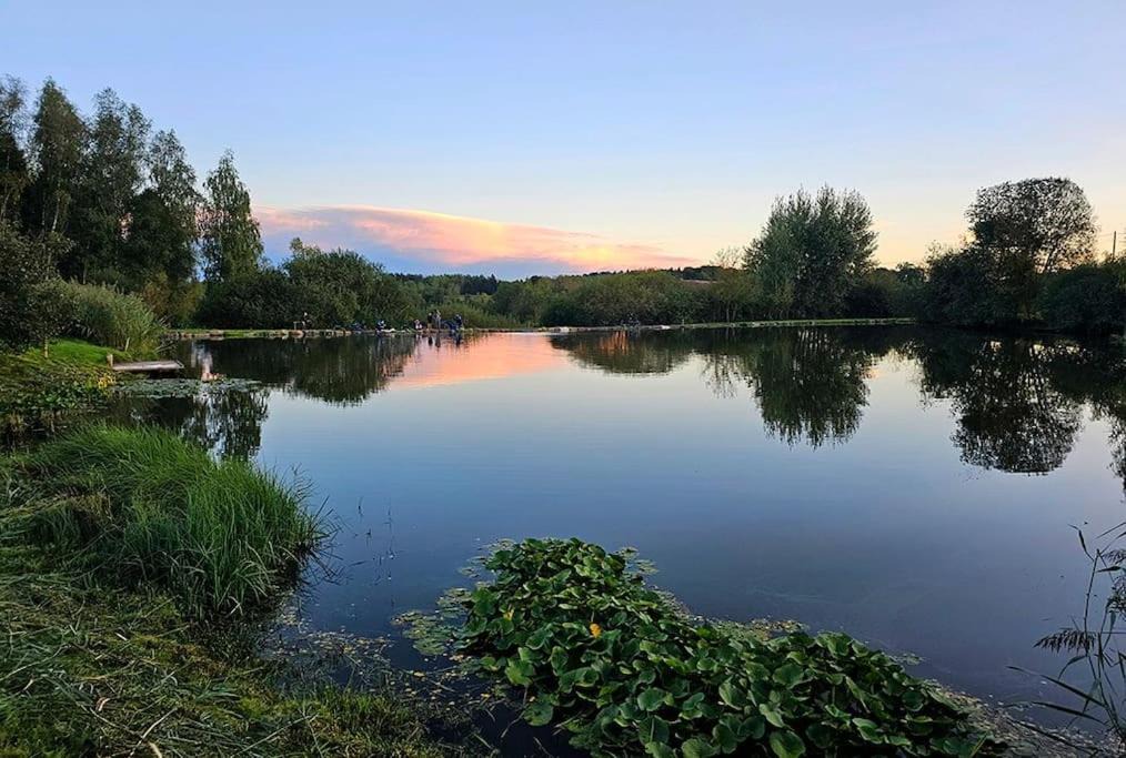 Photo of Others in Travexin