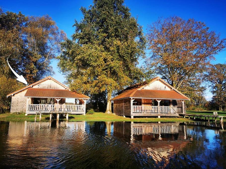 Photo of Others in Travexin