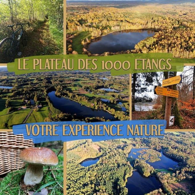 Photo of Others in Travexin