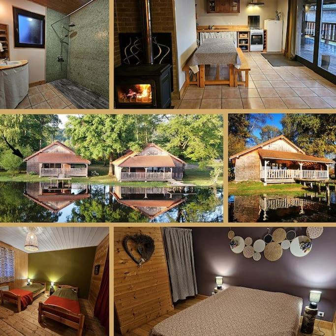 Photo of Others in Travexin