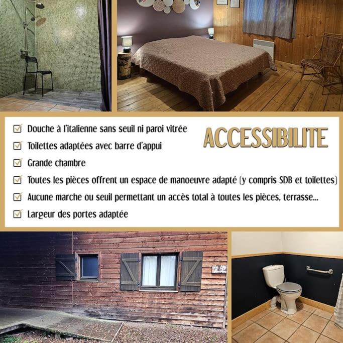 Photo of Others in Travexin