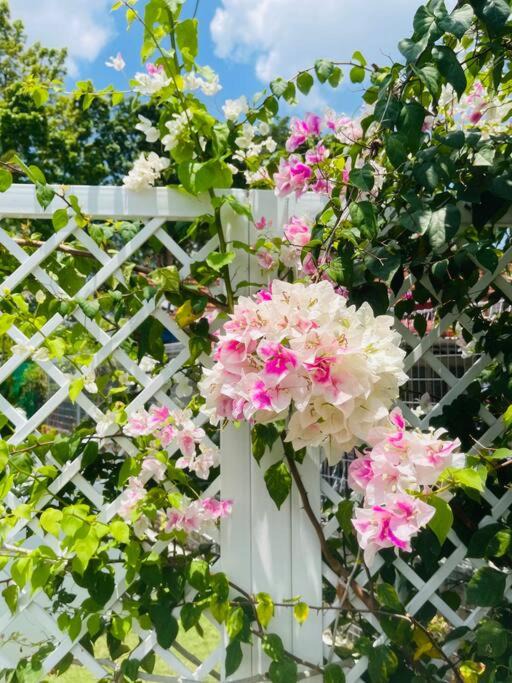 Photo of Others in George Town