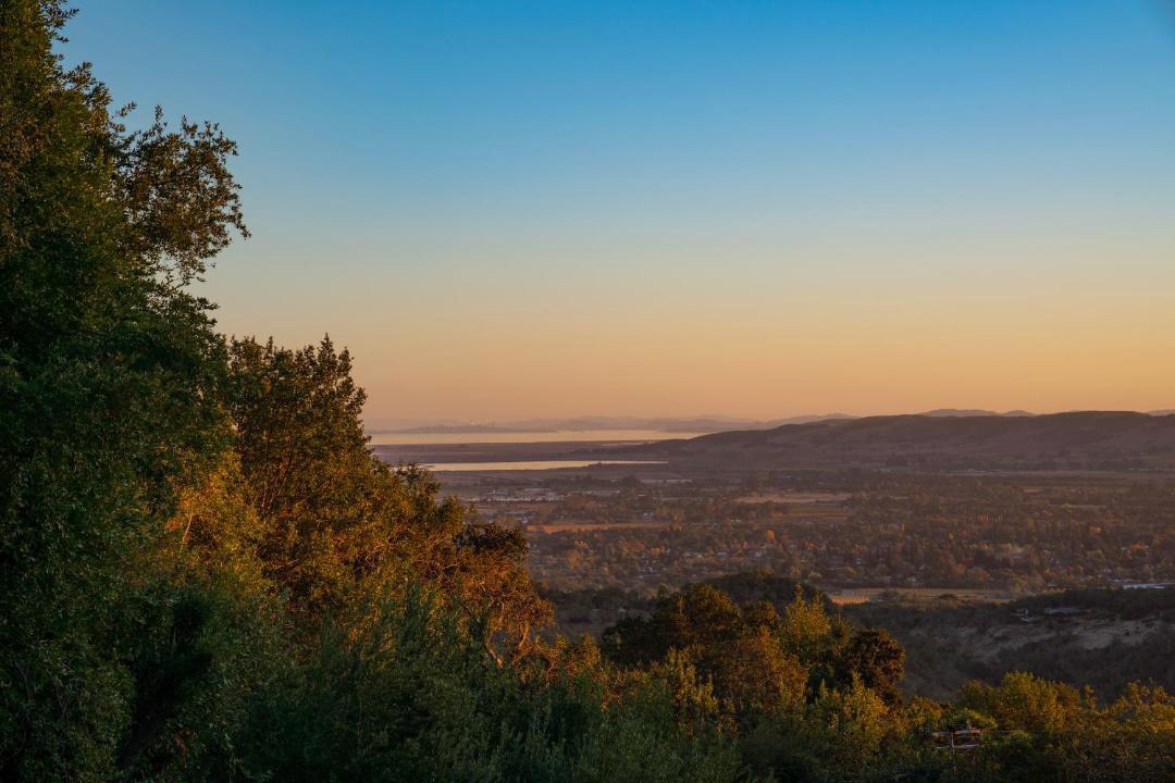Photo of Others in Sonoma