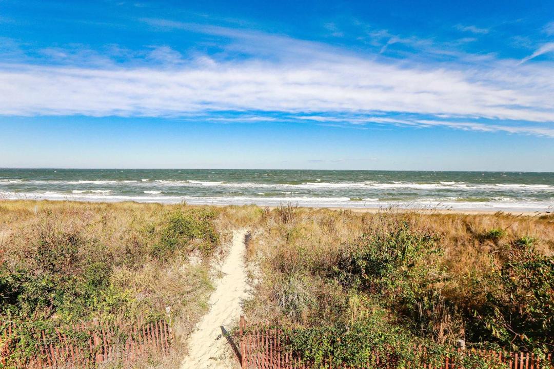 Photo of Others in Cottage Line