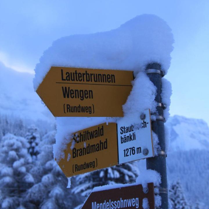 Photo of Others in Wengen