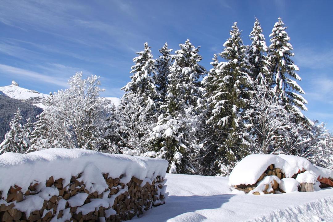 Photo of Others in Wengen