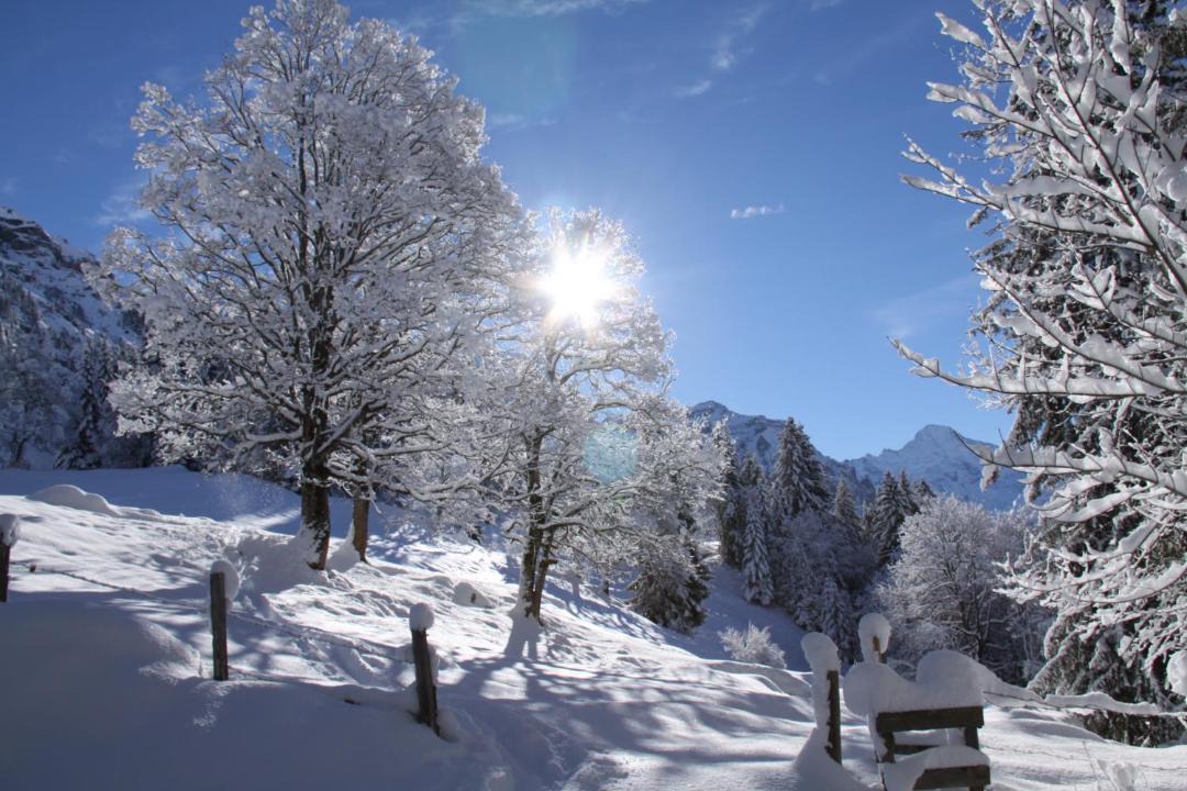 Photo of Others in Wengen