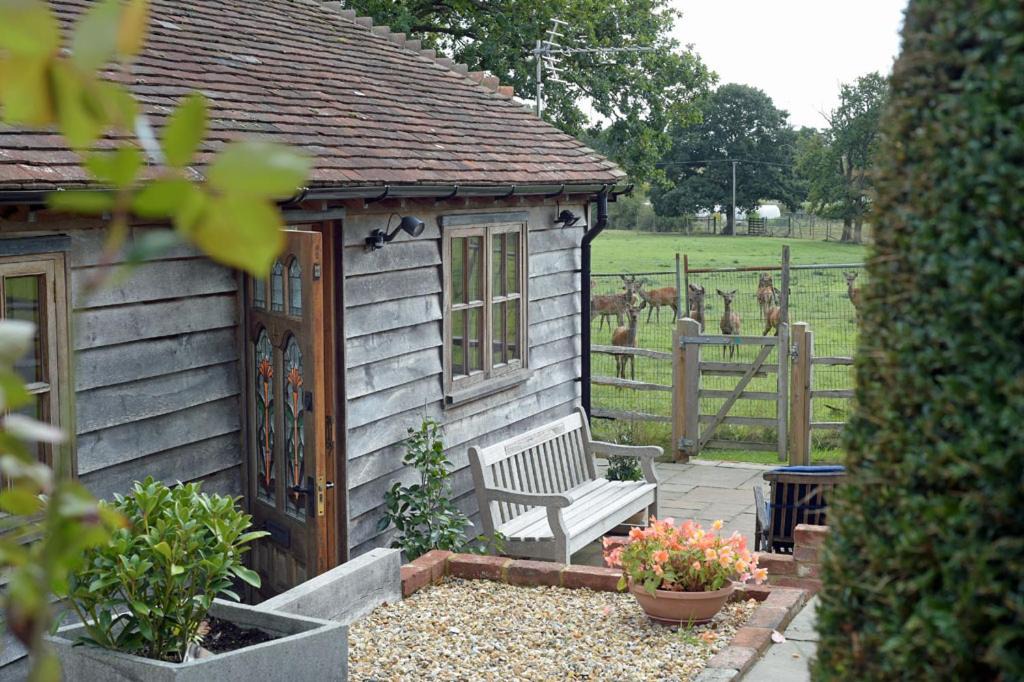 Photo of Others in Nuthurst