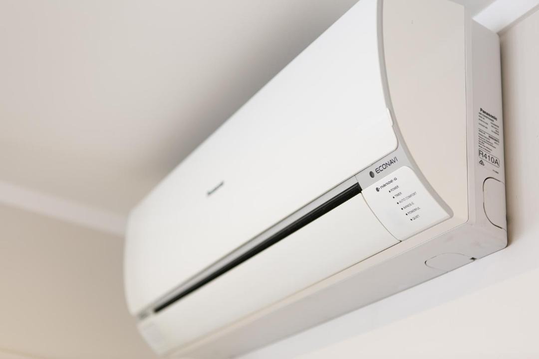 Photo of Others in Pukekohe