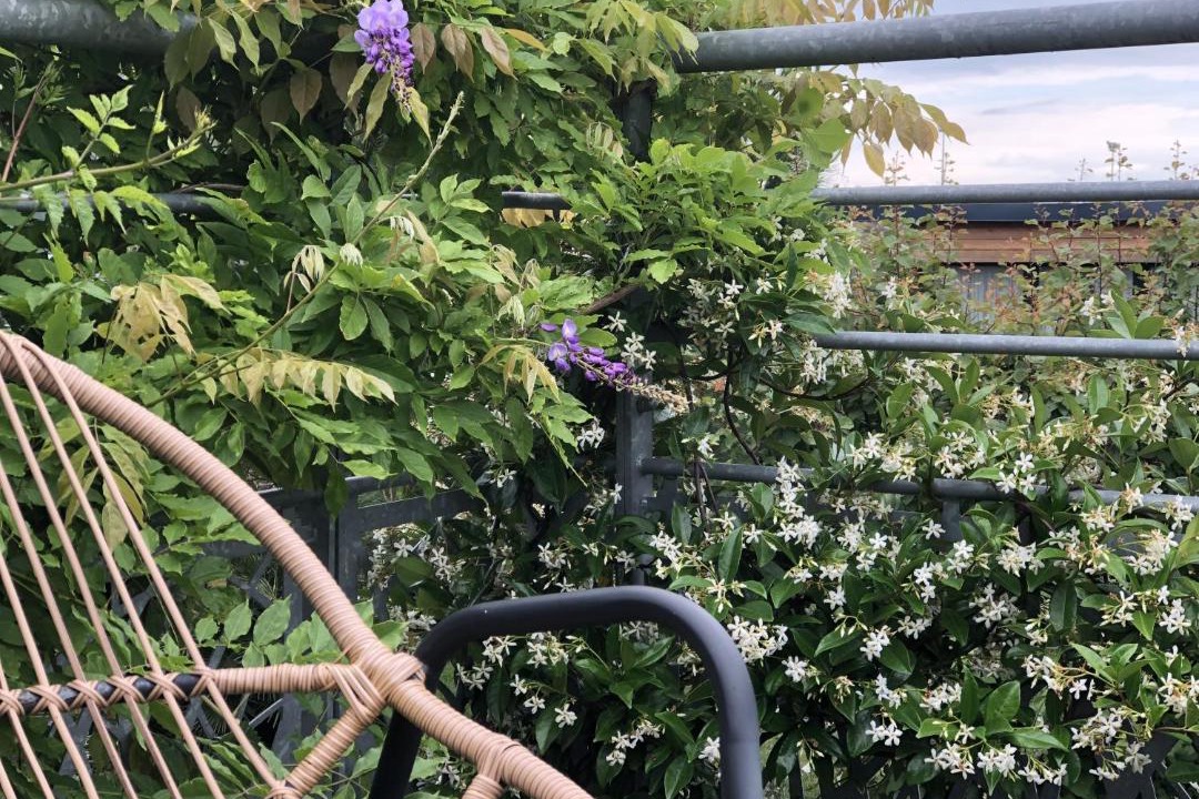 Photo of Others in Fleurbaix