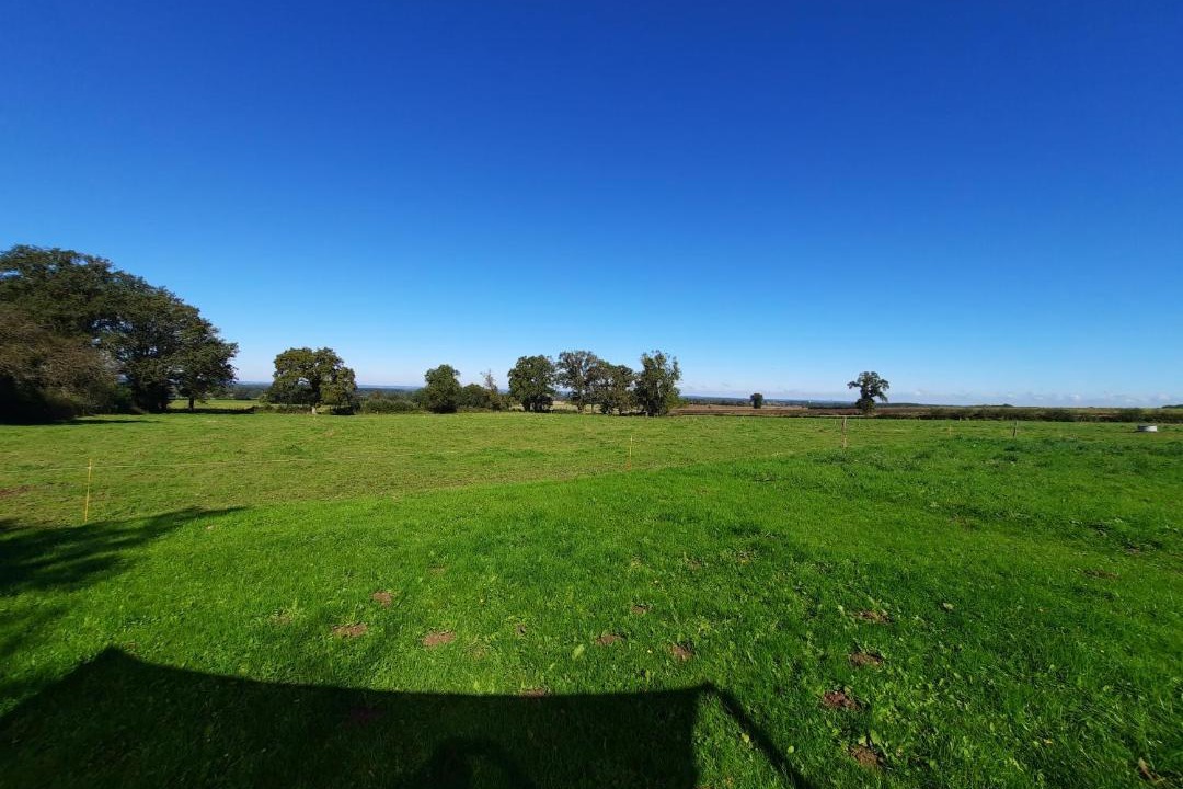 Photo of Others in Feusines