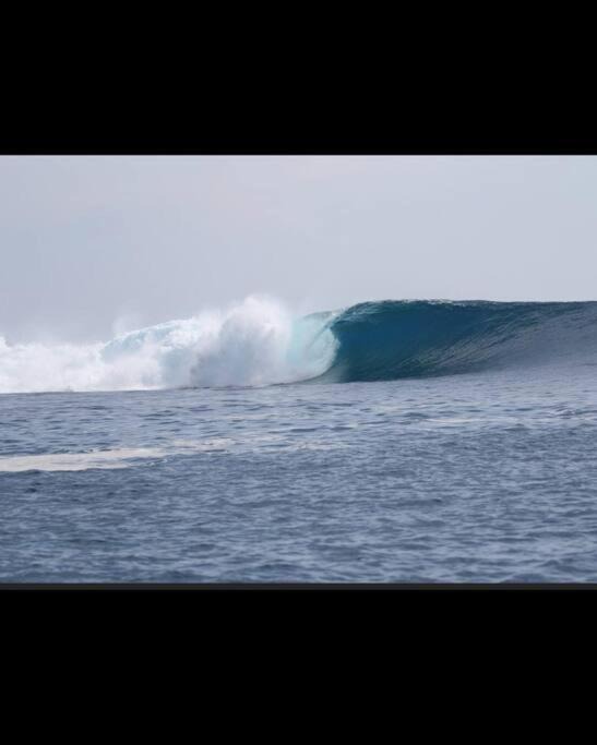 Photo of Others in Pulau Masokut