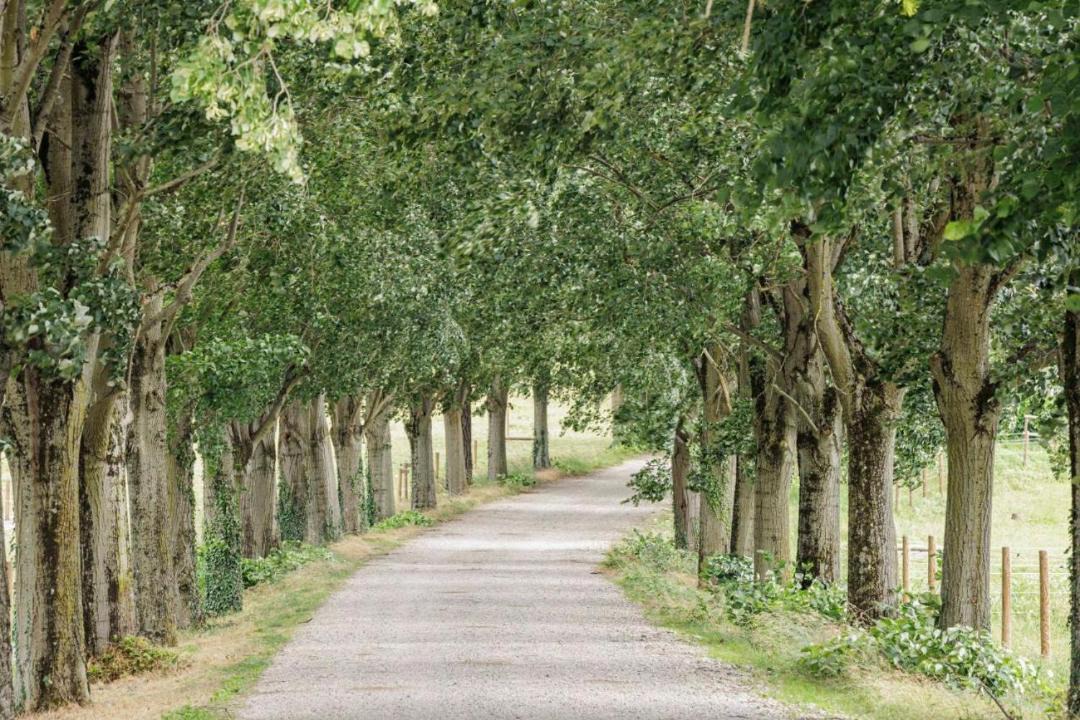 Photo of Others in Vourles