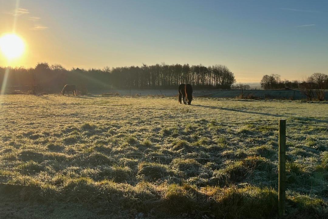 Photo of Others in Lystrup