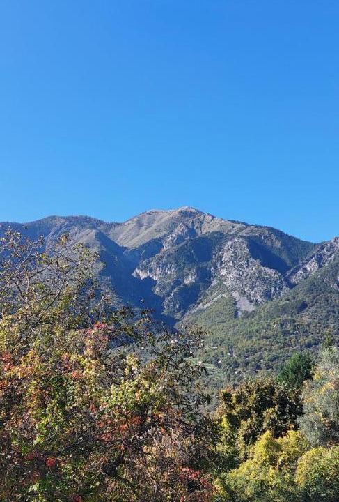 Photo of Others in Belvedere