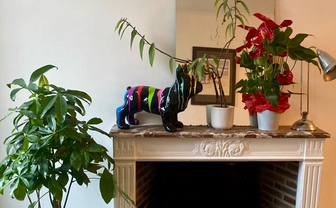 Photo of Others in Rambouillet