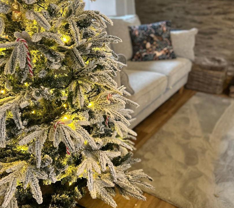 Photo of Livingroom in Exmoor National Park