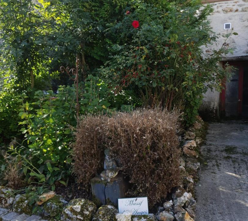 Photo of Others in Morsains