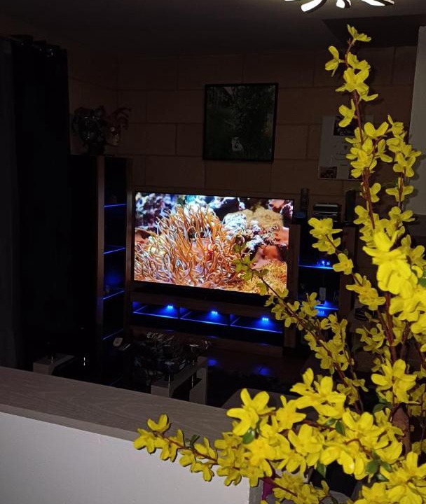 Photo of Others in Villemanoche