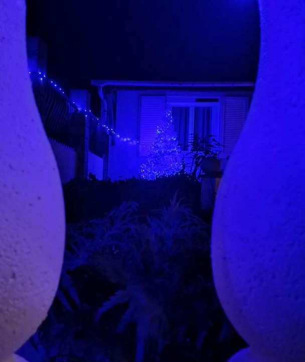 Photo of Others in Villemanoche