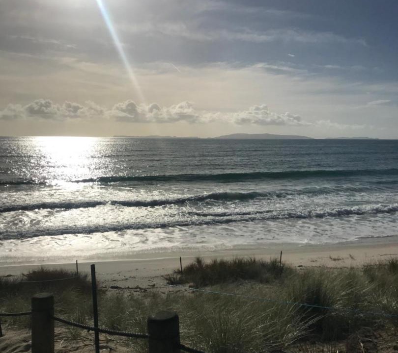 Photo of Others in Whangapoua