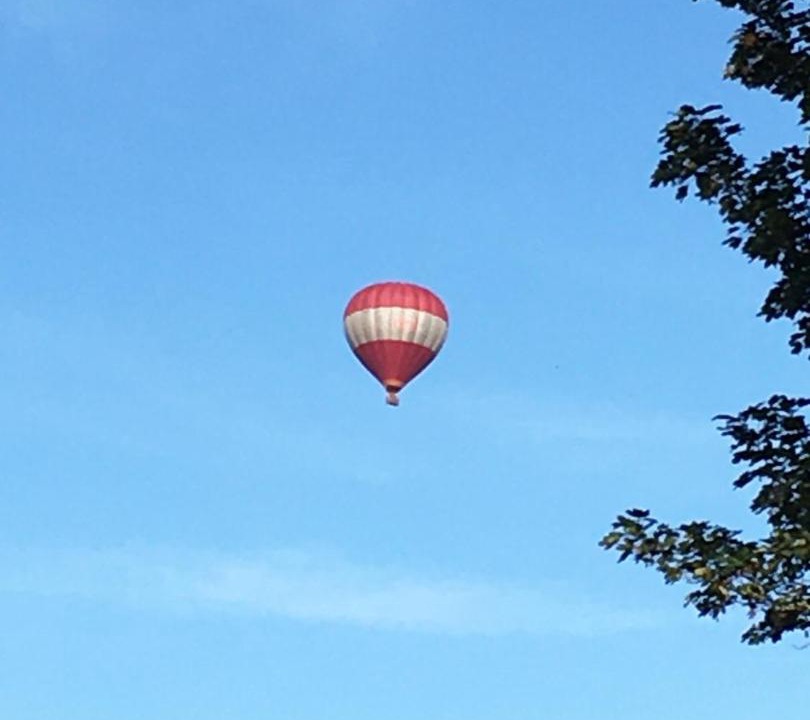 Photo of Others in Devonport