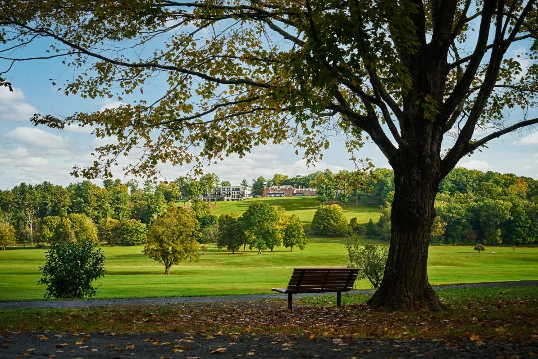 Photo of Others in Far Hills