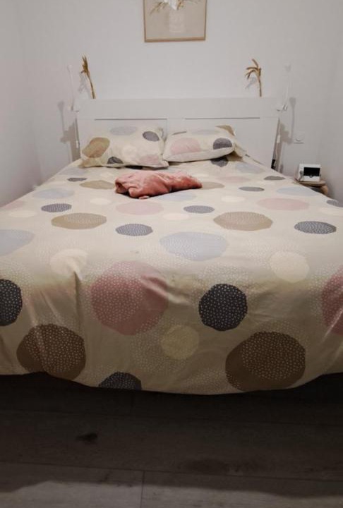 Photo of Bedroom in Conteville