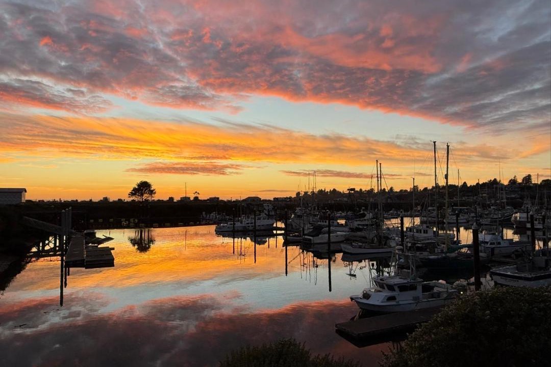 Photo of Others in Harbor