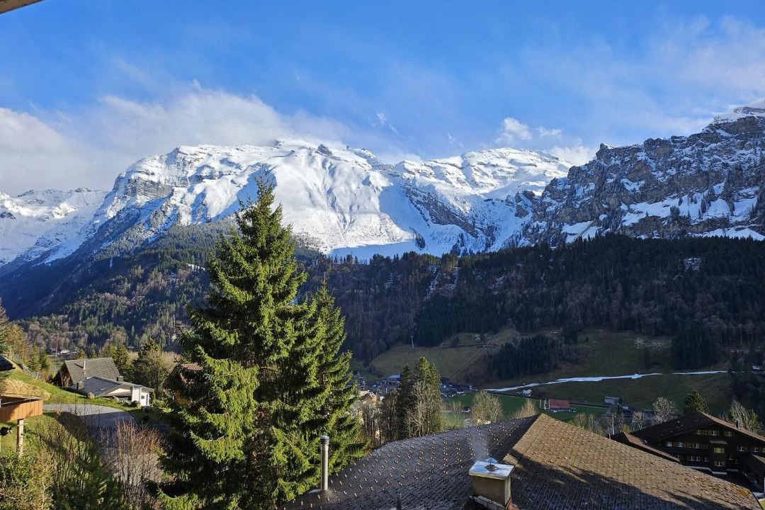 Photo of Others in Engelberg