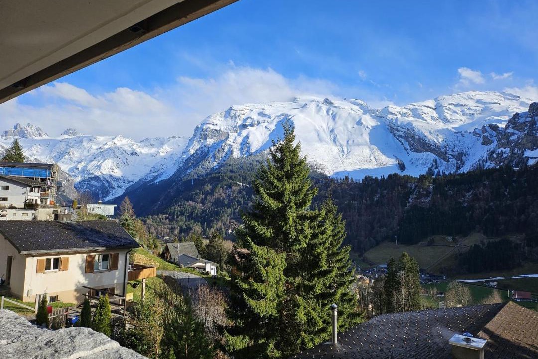 Photo of Others in Engelberg