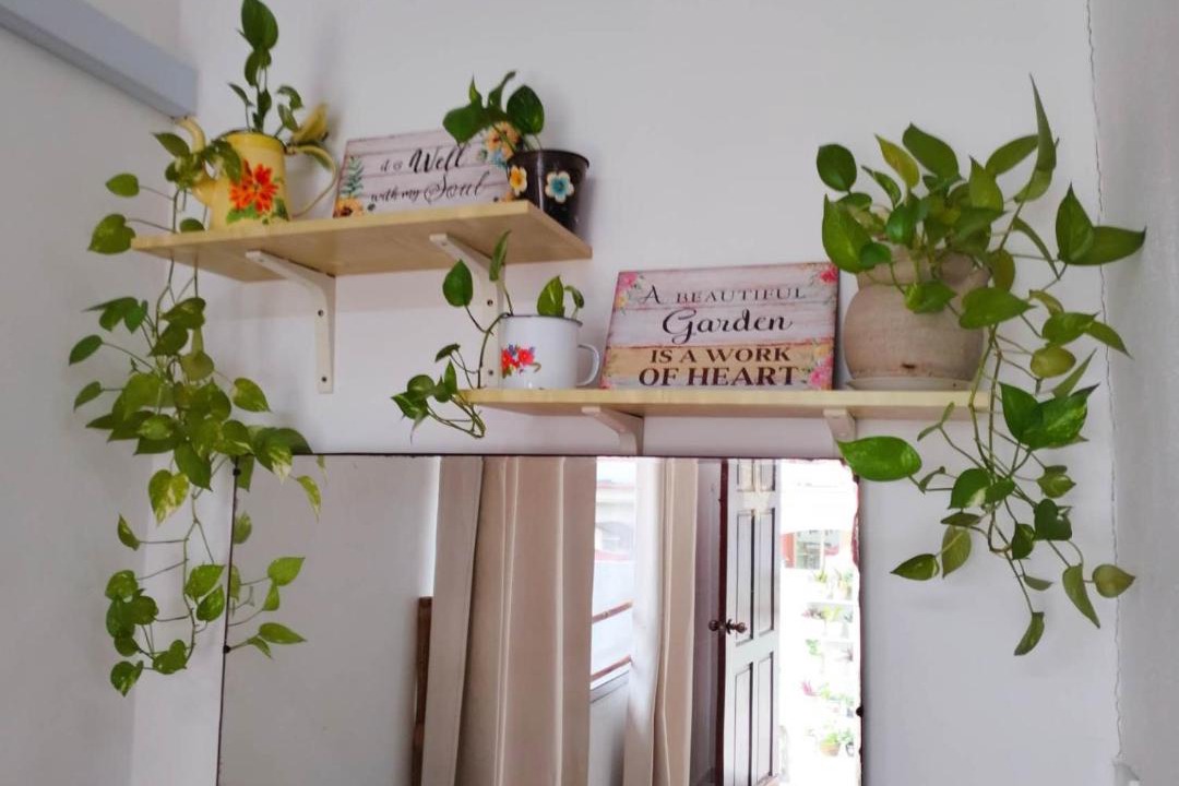 Photo of Others in Kluang