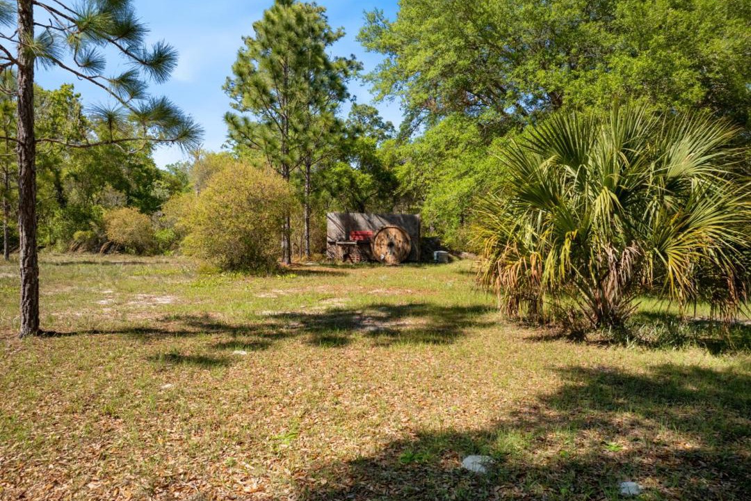 Photo of Others in Cedar Key