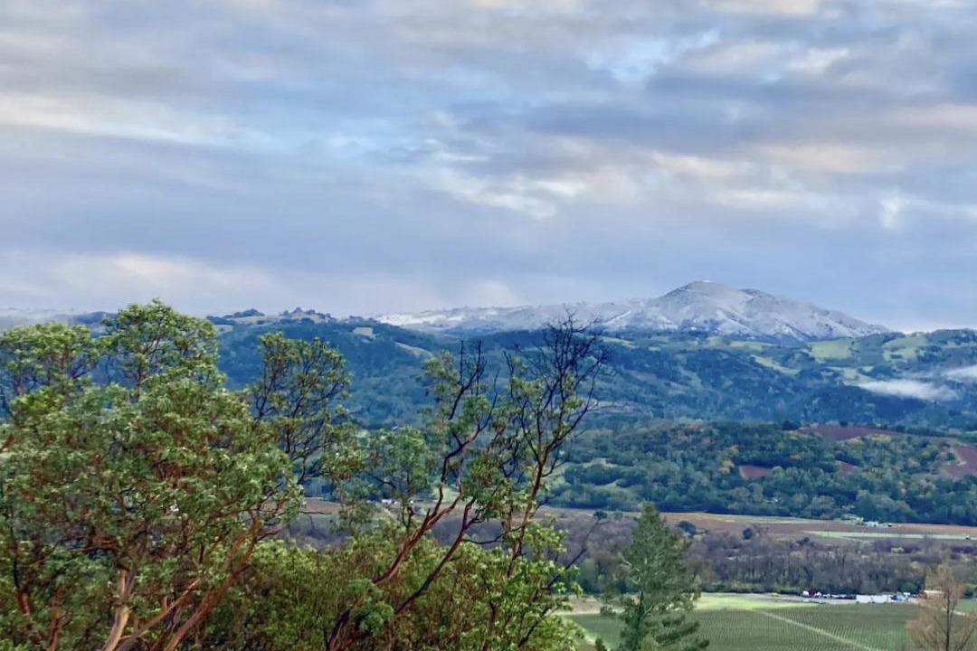 Photo of Others in Cloverdale