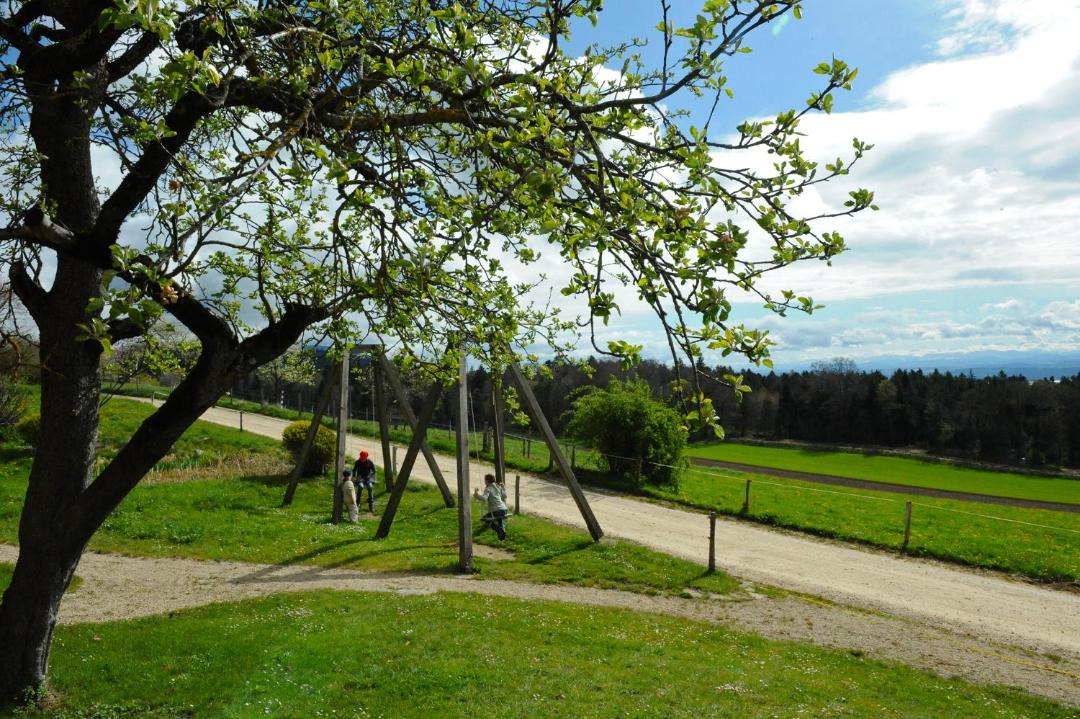 Photo of Others in Montezillon